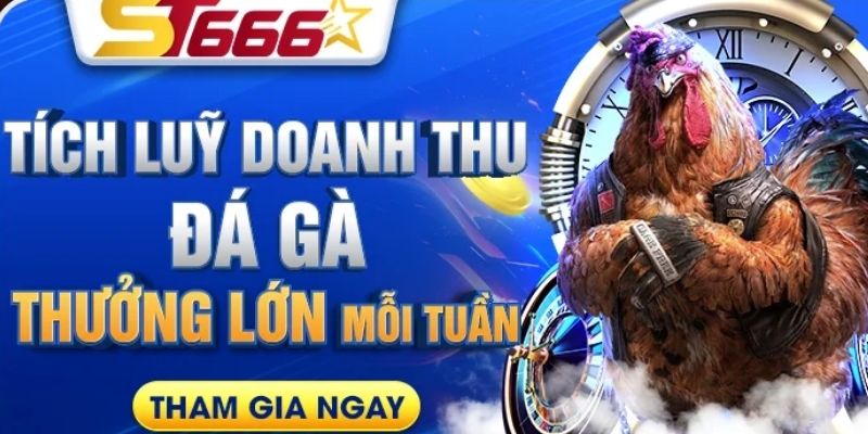 ST666 – Nhà Cái Đá Gà Uy Tín Tặng 99K Cho Người Mới 8 Kho game với đầy đủ thể loại