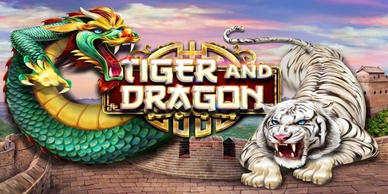 Chiến thuật chơi rồng hổ nuôi cầu được nhiều người áp dụng Chiến thuật chơi rồng hổ nuôi cầu được nhiều người áp dụng