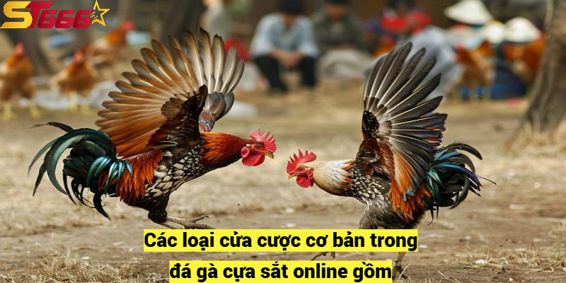 Đá Gà Cựa Sắt – Luật Chơi và Các Hình Thức Tranh Tài Hấp Dẫn 3 Các loại cửa cược cơ bản trong đá gà cựa sắt online gồm